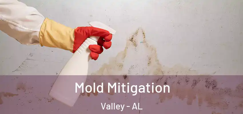  Mold Mitigation Valley - AL