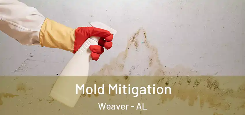  Mold Mitigation Weaver - AL