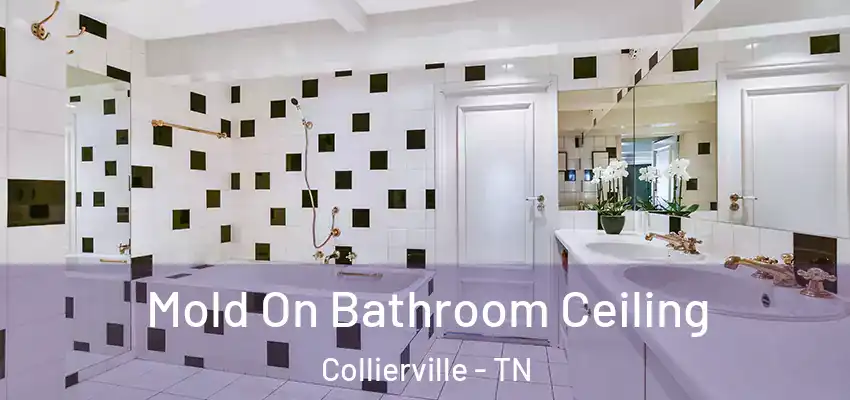  Mold On Bathroom Ceiling Collierville - TN