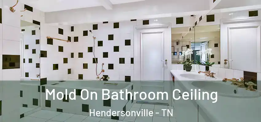 Mold On Bathroom Ceiling Hendersonville - TN