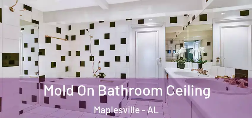 Mold On Bathroom Ceiling Maplesville - AL
