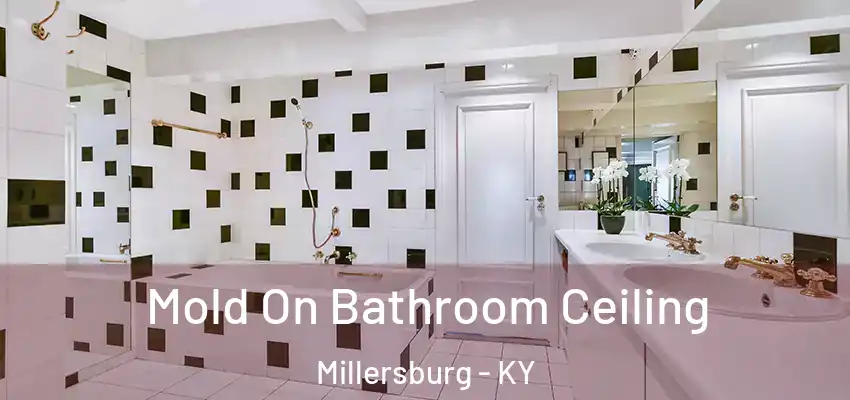  Mold On Bathroom Ceiling Millersburg - KY