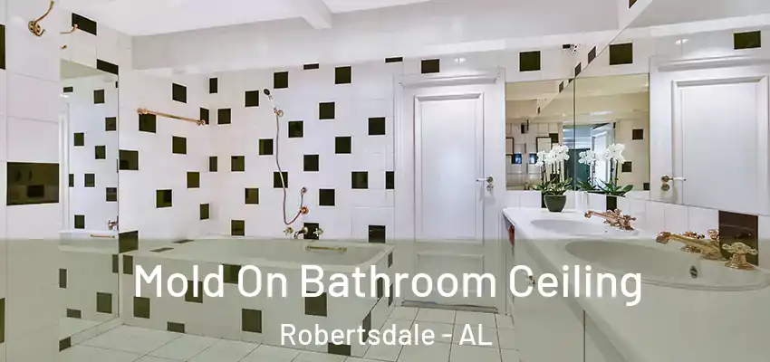 Mold On Bathroom Ceiling Robertsdale - AL