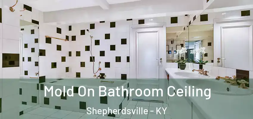 Mold On Bathroom Ceiling Shepherdsville - KY