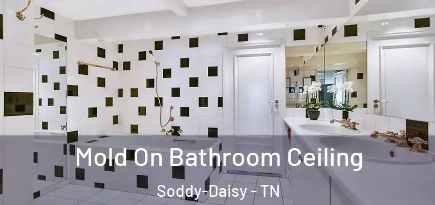  Mold On Bathroom Ceiling Soddy-Daisy - TN