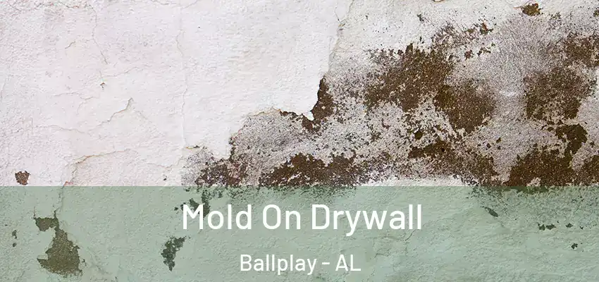  Mold On Drywall Ballplay - AL