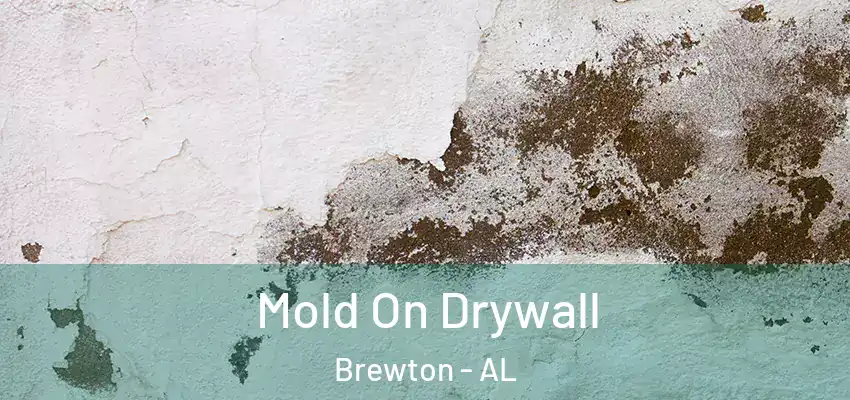  Mold On Drywall Brewton - AL