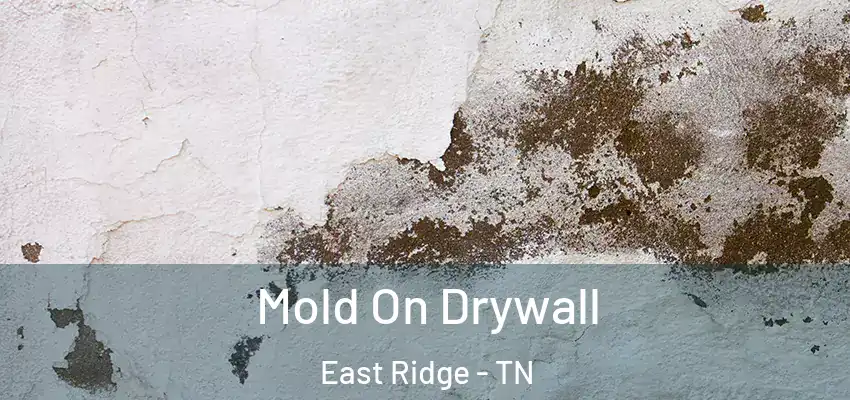  Mold On Drywall East Ridge - TN