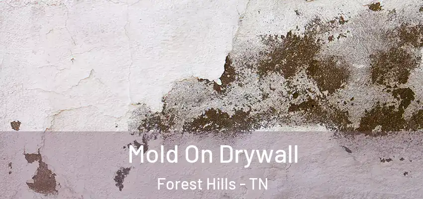  Mold On Drywall Forest Hills - TN