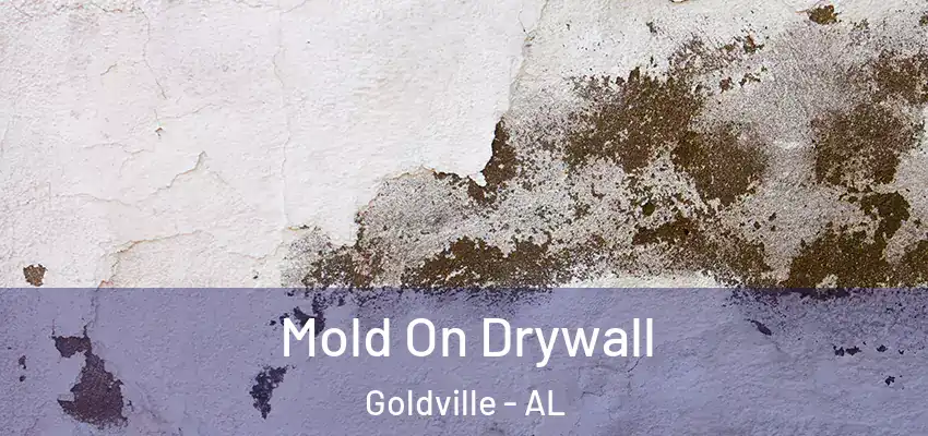  Mold On Drywall Goldville - AL