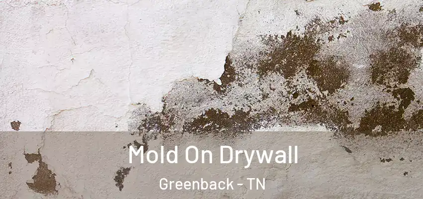  Mold On Drywall Greenback - TN