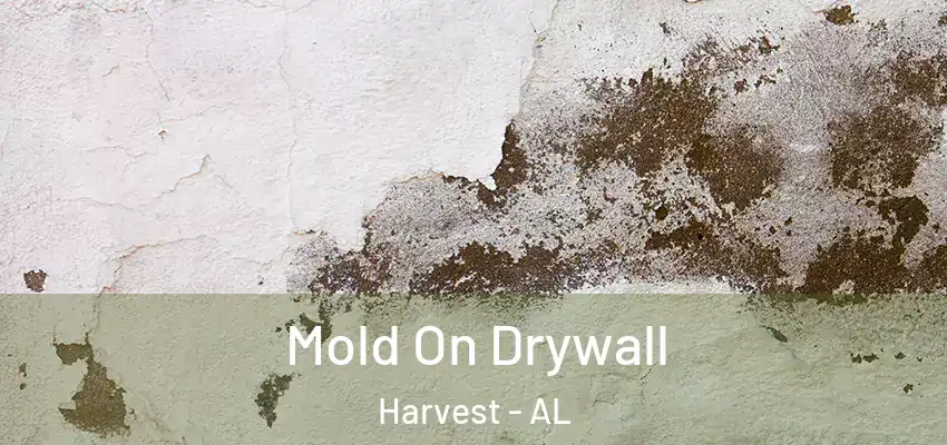  Mold On Drywall Harvest - AL