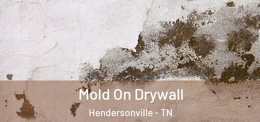  Mold On Drywall Hendersonville - TN