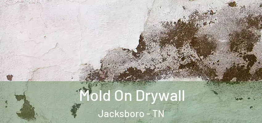  Mold On Drywall Jacksboro - TN