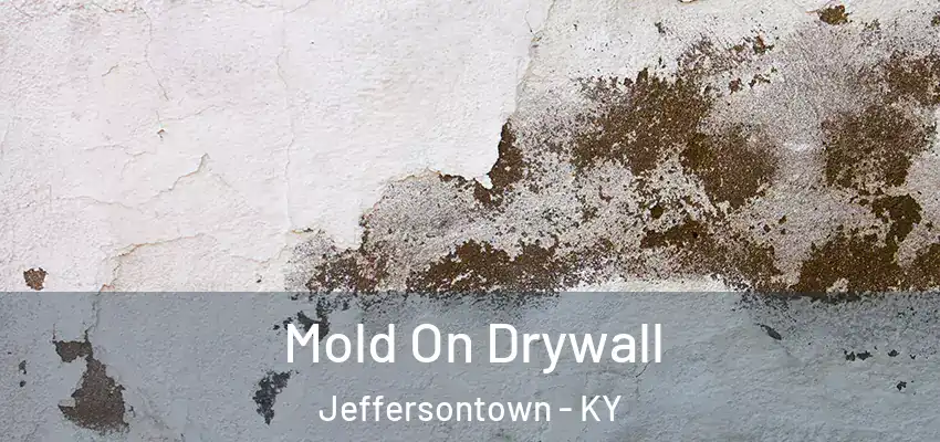 Mold On Drywall Jeffersontown - KY