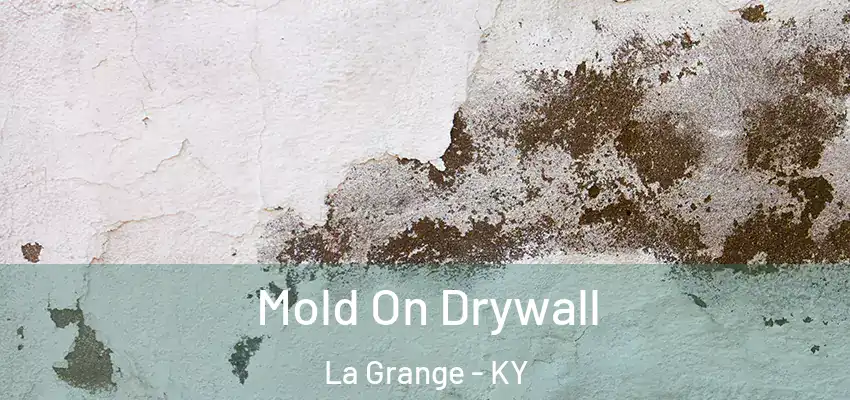  Mold On Drywall La Grange - KY