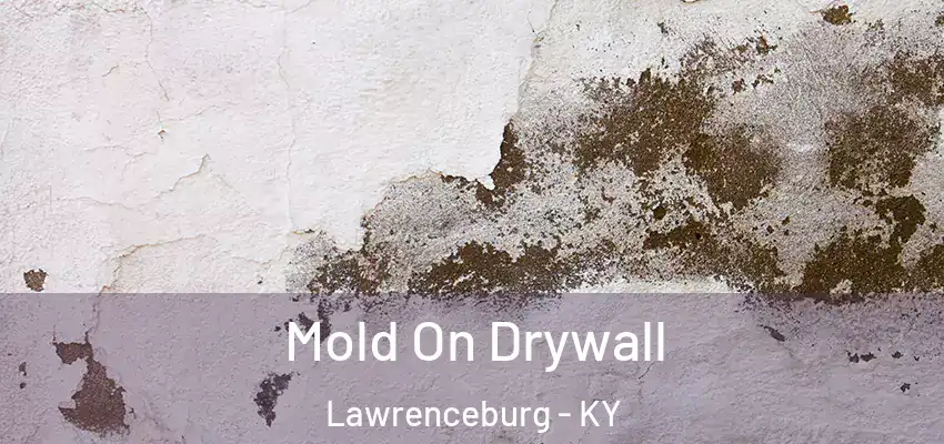  Mold On Drywall Lawrenceburg - KY