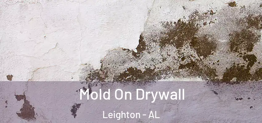  Mold On Drywall Leighton - AL