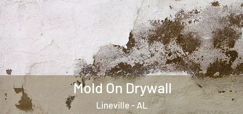 Mold On Drywall Lineville - AL