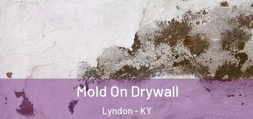  Mold On Drywall Lyndon - KY