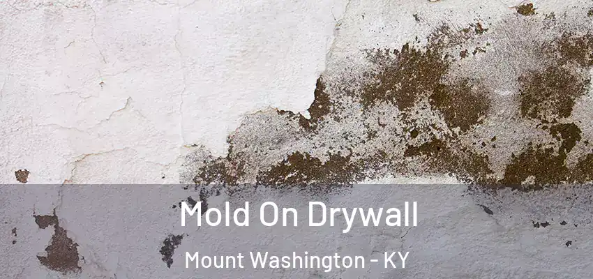  Mold On Drywall Mount Washington - KY