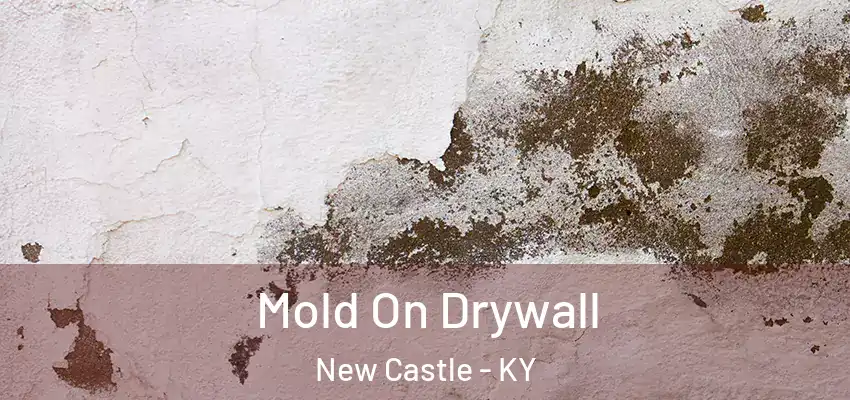  Mold On Drywall New Castle - KY