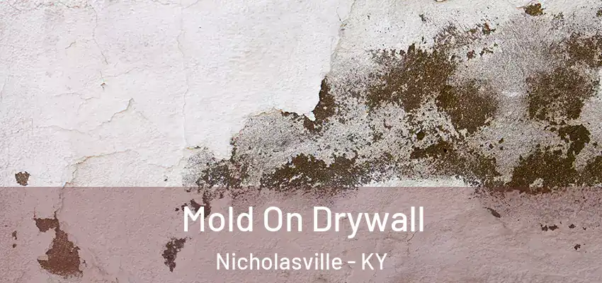 Mold On Drywall Nicholasville - KY