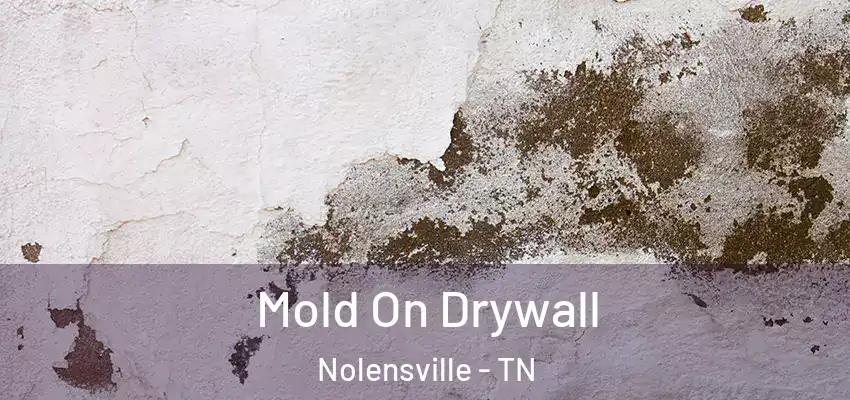  Mold On Drywall Nolensville - TN