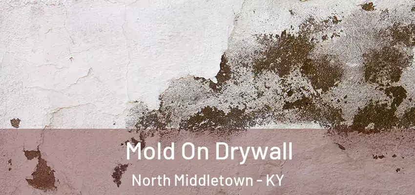  Mold On Drywall North Middletown - KY