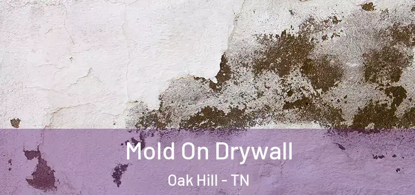  Mold On Drywall Oak Hill - TN