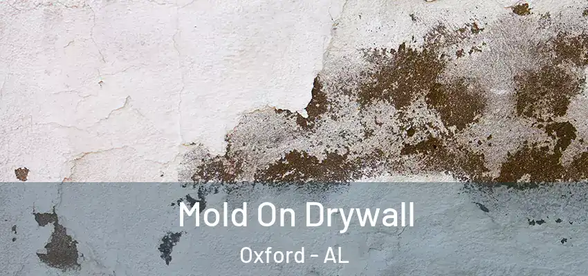  Mold On Drywall Oxford - AL