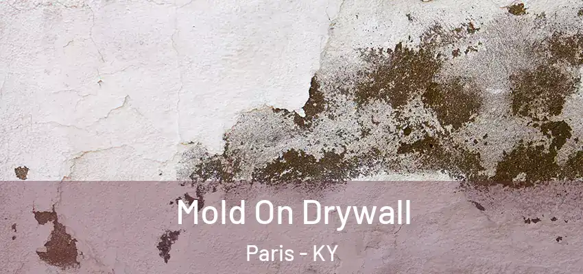  Mold On Drywall Paris - KY