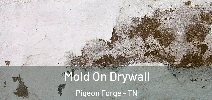 Mold On Drywall Pigeon Forge - TN