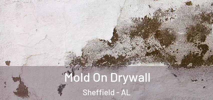  Mold On Drywall Sheffield - AL