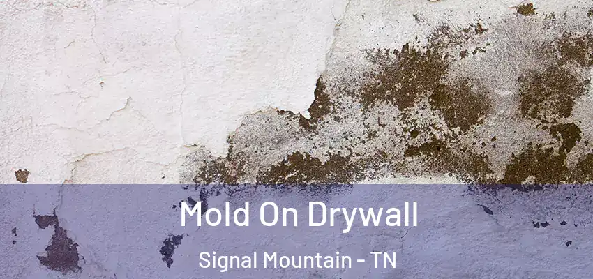 Mold On Drywall Signal Mountain - TN