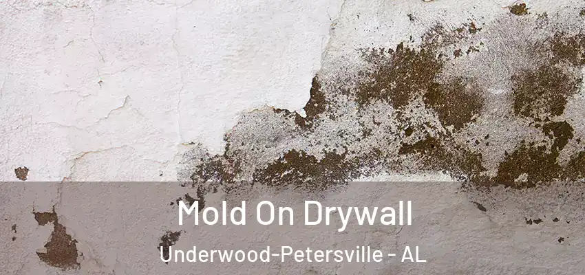  Mold On Drywall Underwood-Petersville - AL