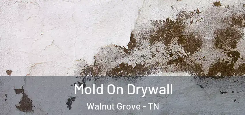 Mold On Drywall Walnut Grove - TN