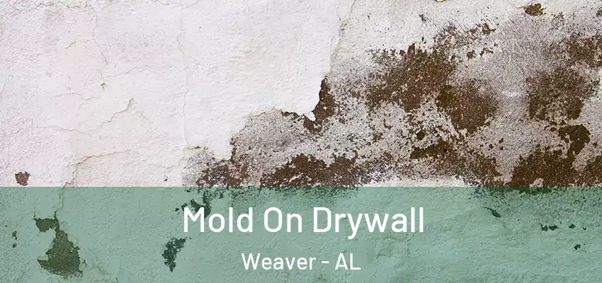  Mold On Drywall Weaver - AL