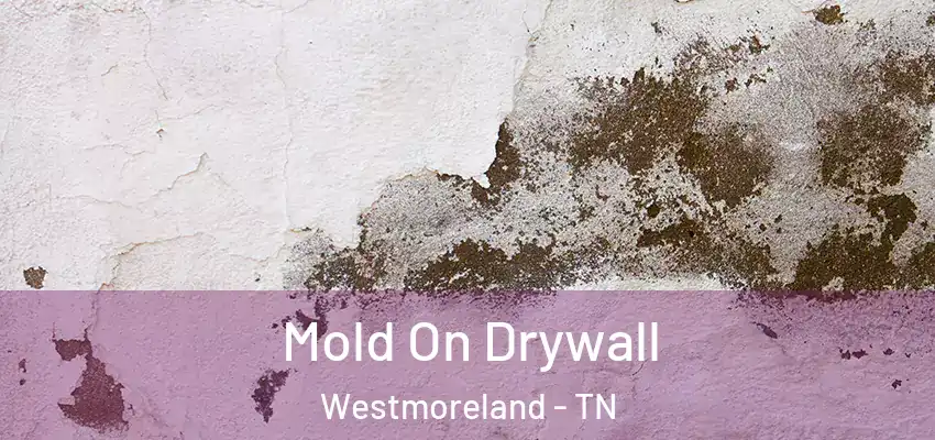 Mold On Drywall Westmoreland - TN