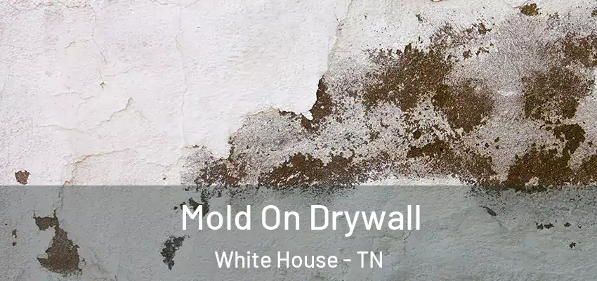 Mold On Drywall White House - TN