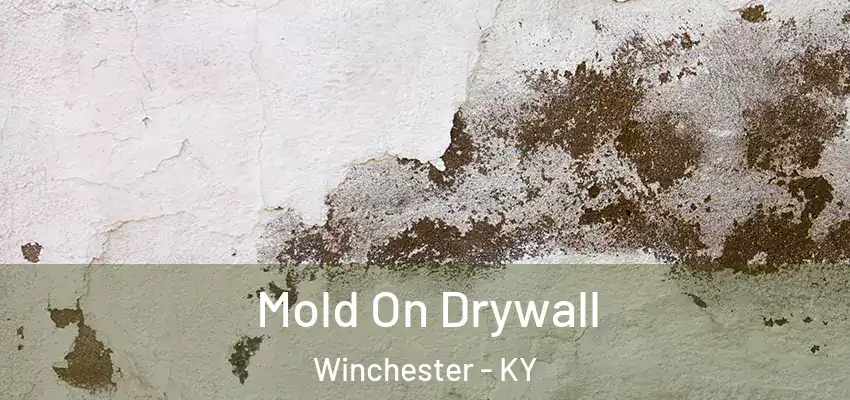 Mold On Drywall Winchester - KY