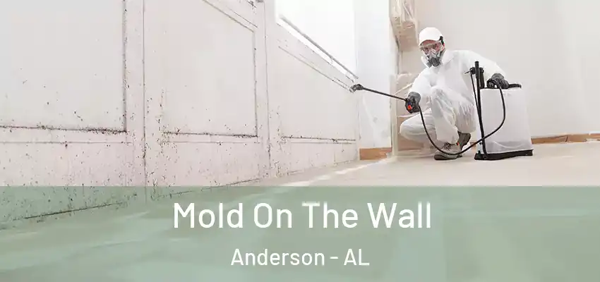  Mold On The Wall Anderson - AL