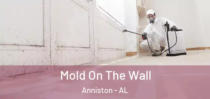  Mold On The Wall Anniston - AL