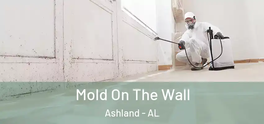  Mold On The Wall Ashland - AL
