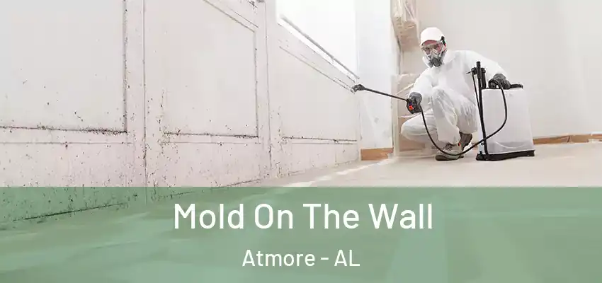 Mold On The Wall Atmore - AL