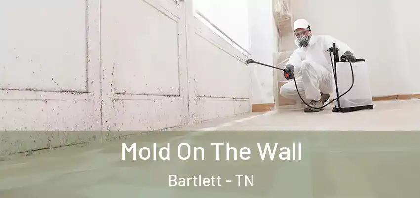 Mold On The Wall Bartlett - TN