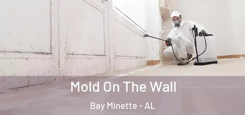 Mold On The Wall Bay Minette - AL