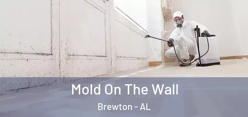  Mold On The Wall Brewton - AL