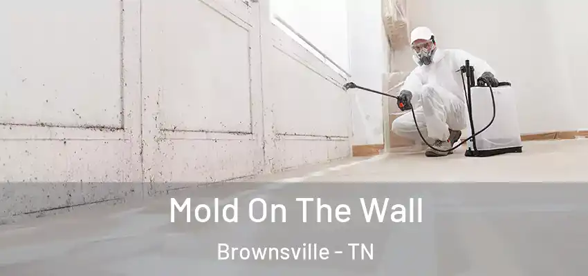 Mold On The Wall Brownsville - TN