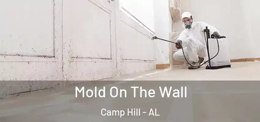  Mold On The Wall Camp Hill - AL